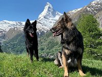 Gitan und Shani